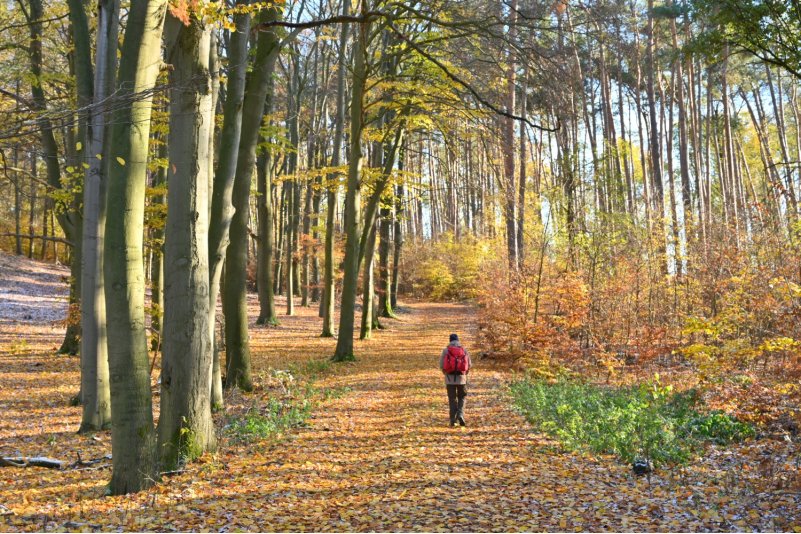 Wanderweg von Klein Glien nach Belzig