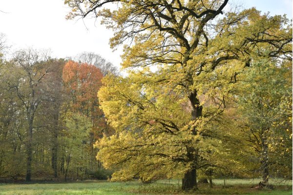 Castle Park Nennhausen